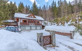 Alpine Retreat Gaja Kranjska Gora - Happy Rentals