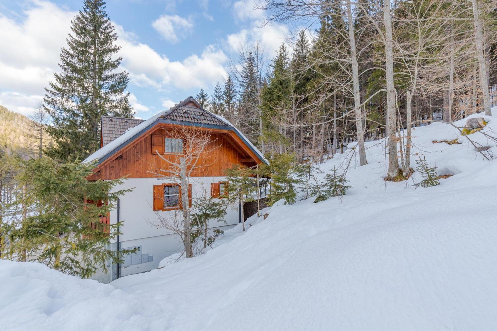 Alpine Retreat Gaja Kranjska Gora - Happy Rentals Zewnętrze zdjęcie